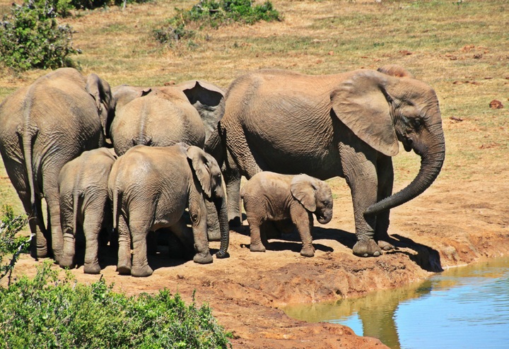 Voyage en famille : 3 endroits idylliques à découvrir