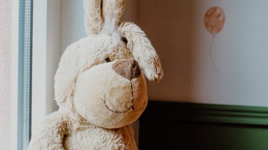 Le rôle du premier doudou de bébé