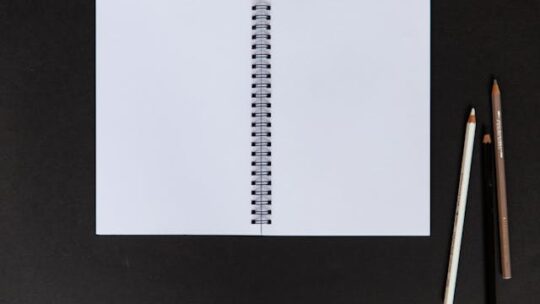 Carnets du Népal de qualité : l’esprit de l’Himalaya sur papier artisanal