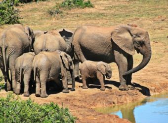 Voyage en famille : 3 endroits idylliques à découvrir